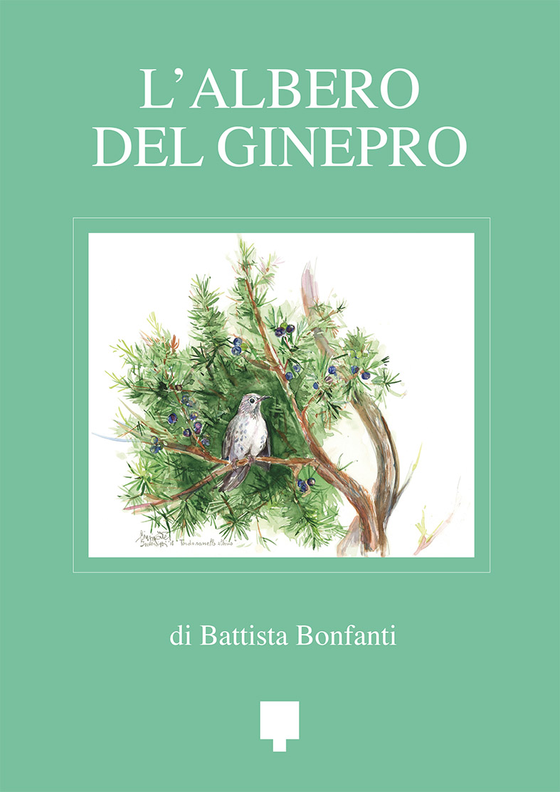L'albero del ginepro